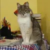 Отзыв от Фаина Самсонова